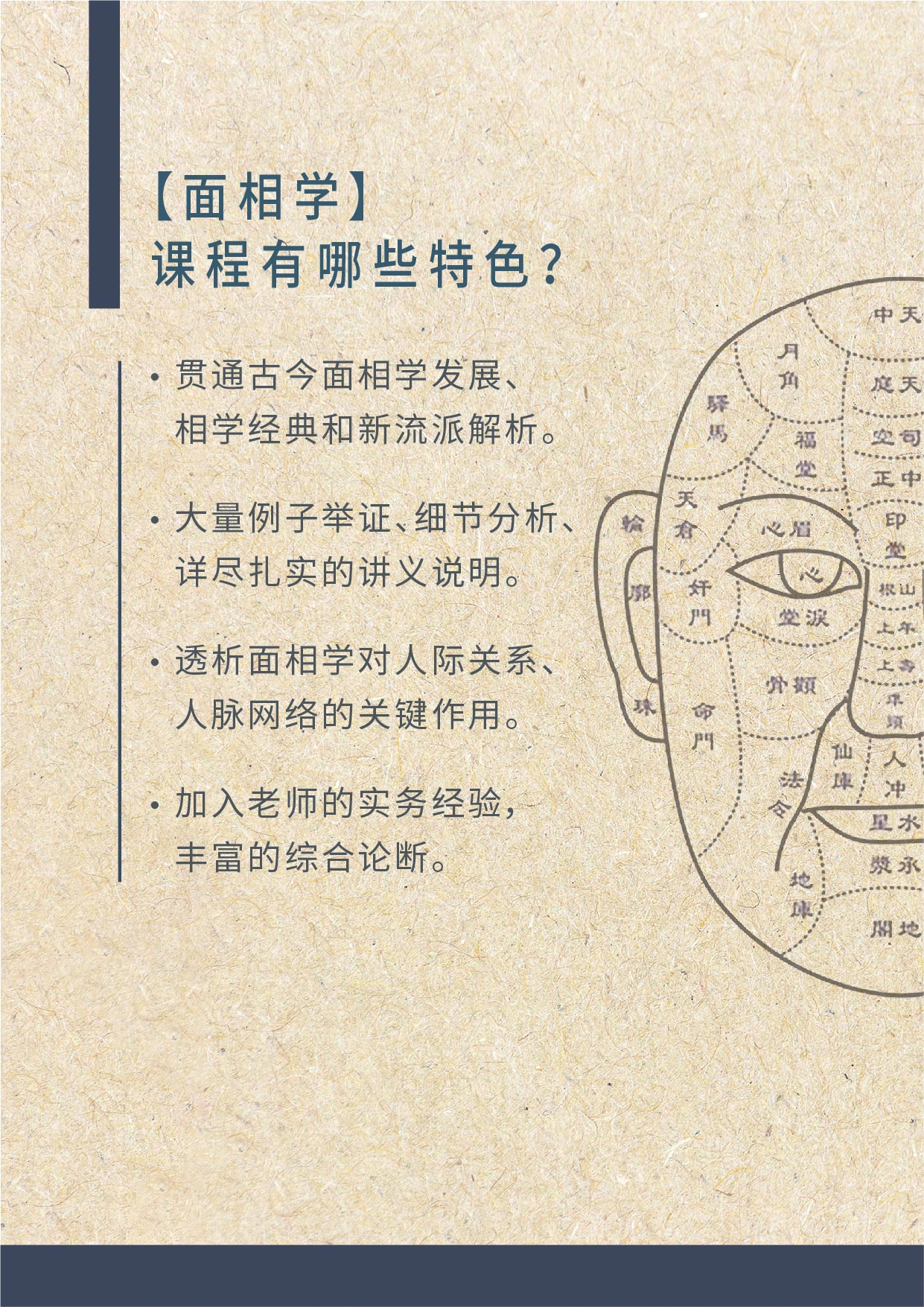 面相实战班 Physiognomy Courses – Perpetual Ace